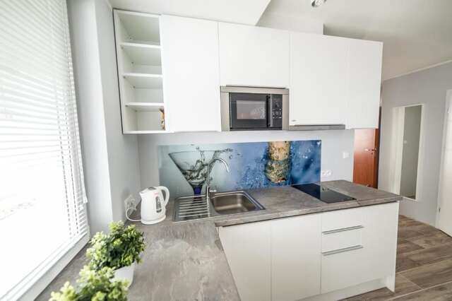 Апартаменты Silver One Apartments Гданьск-56