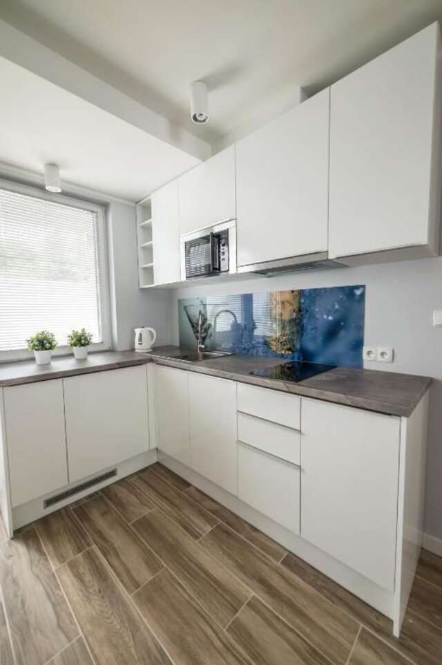 Апартаменты Silver One Apartments Гданьск-59